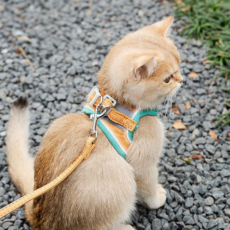 Reflective Step-In Soft Mesh Pet Harness – Escape Proof Vest for Dogs & Cats, Safe Outdoor Walking