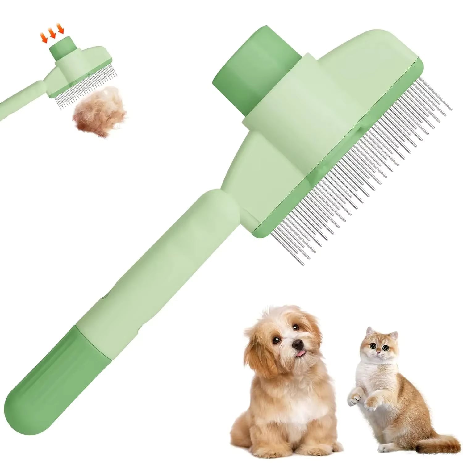 Pet Accecories