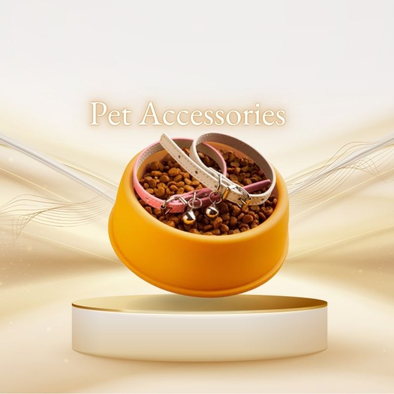 Pet Accessories