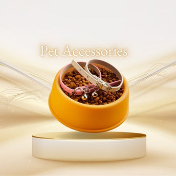 Pet Accessories