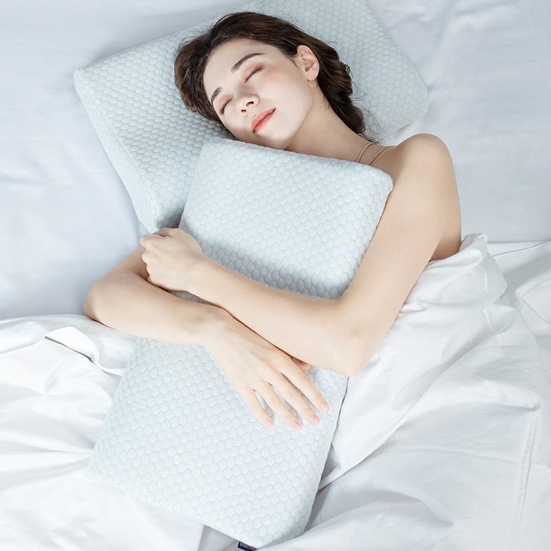 Slow Rebound Travel Cushion
