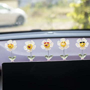 Luxury Car Interior Kits Funny Expression Spring Ornaments Resin