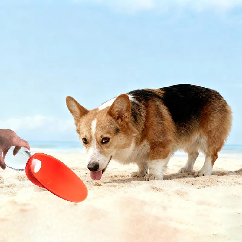 Eco-Friendly Silicone Pet Water Feeder Dispenser for Cats & Dogs