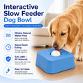 Stock Stylish Portable Modern Solid Pattern Pet Slow-feeding Square