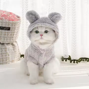 New Rabbit Ears Pet Hoodie – Soft Cotton Wool Outfit for Cats & Dogs, Perfect for Winter and Spring