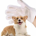 OEM/ODM Biodegradable Organic Easy to Carry Pet Gloves Finger Teeth