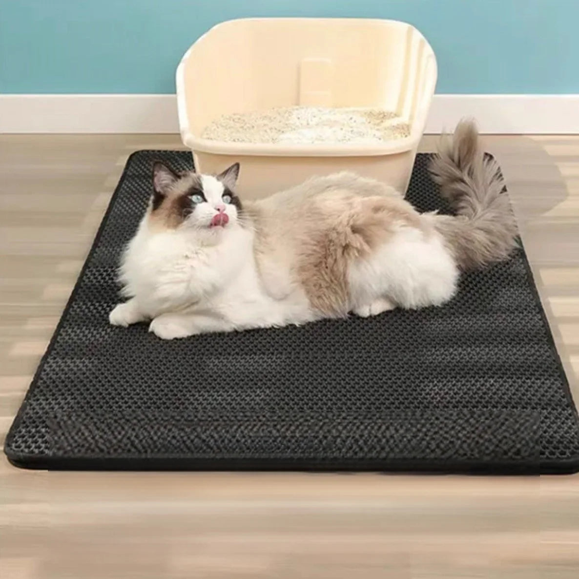 Double Layer Waterproof Cat Litter Mat