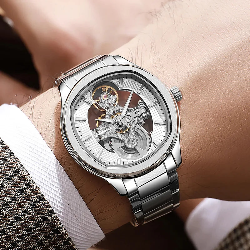 Dulunwe Luxury Mechanical Watch for Men