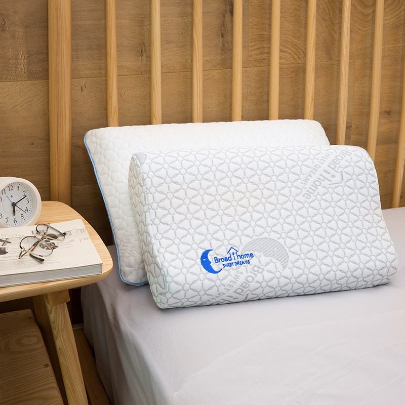 Slow Rebound Travel Cushion