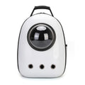 Transparent Cat Carrier Backpack for Travel