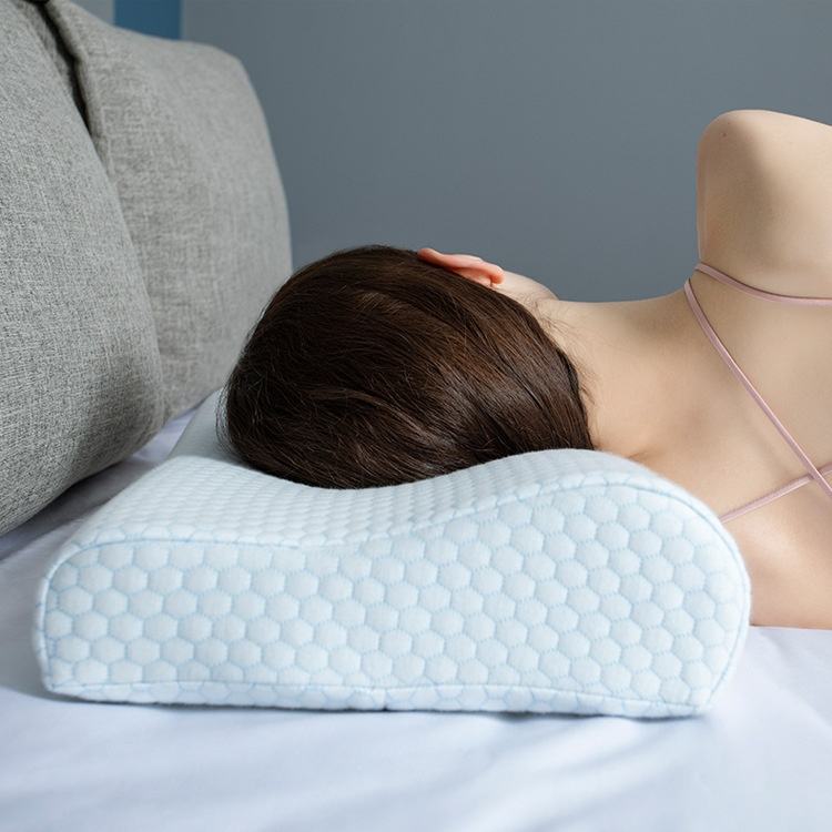 Slow Rebound Travel Cushion