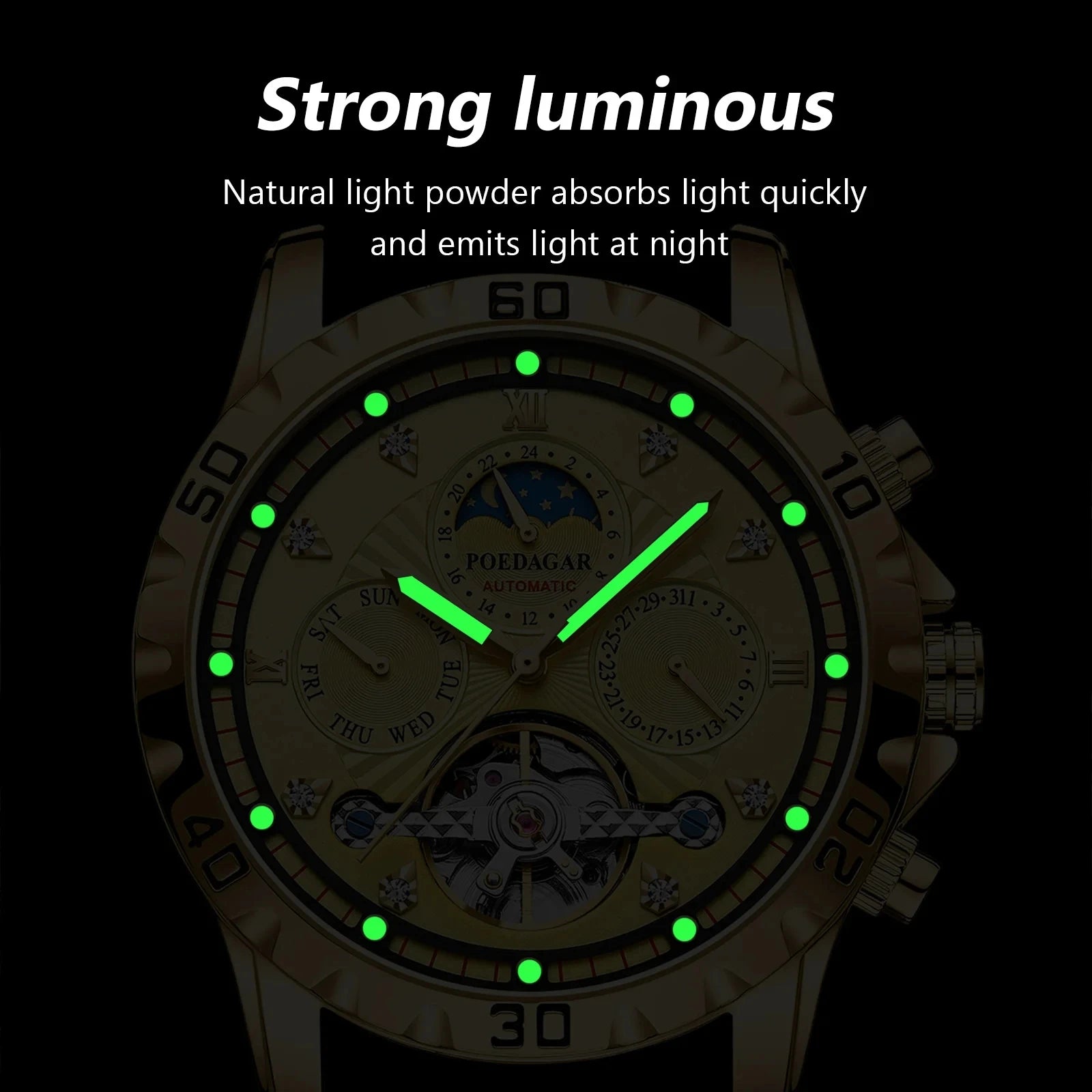 POEDAGAR Luxury Tourbillon Men's Watch