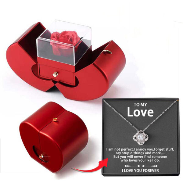 Valentines Day Gift Christmas Gift Custom Photo Projection Necklace With Apple Gift Box Card Set Package For Women Couple