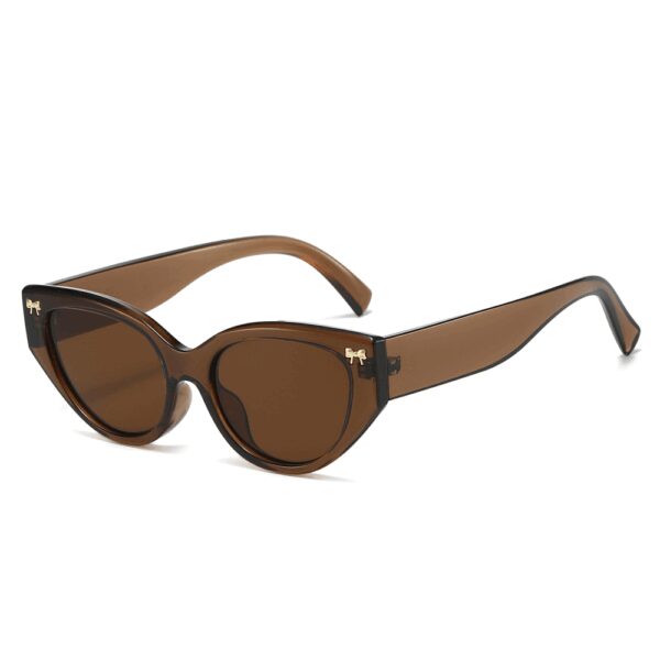 2025 New Fashion Glasses Colorful UV Protection Cat Eye Personalized Durable Texture Hinge UV400 Sunglasses for Men and Women