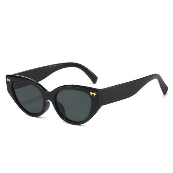 2025 New Fashion Glasses Colorful UV Protection Cat Eye Personalized Durable Texture Hinge UV400 Sunglasses for Men and Women