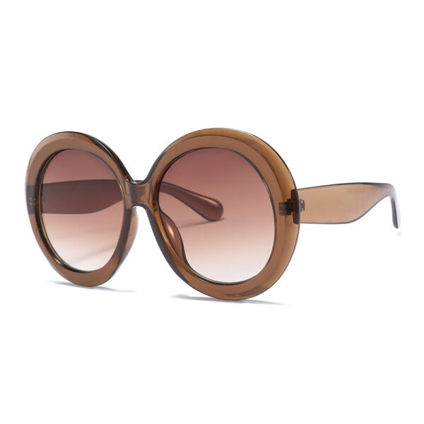 Vintage Uv400 Protection Oversized Big Frame Sunglasses for Women Circle Glasses Sunglasses | LS087 - Image 3