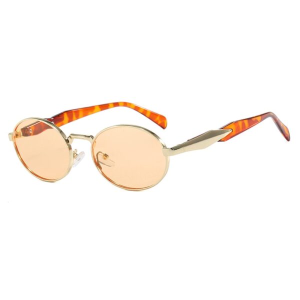 Fashion Style Trendy Sunglasses for Women Men Unique Designer Inspired 2025 High Quality Customizable