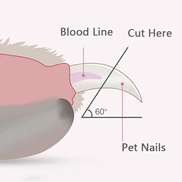 🐾 Pet Nail Trimmer – Silent, USB Rechargeable Grooming Tool for Dogs & Cats - Image 6
