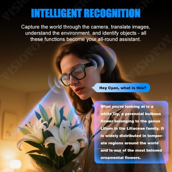 Smart Sunglasses – 4K Camera, Bluetooth 5.4, AI Assistant, Phone Calls, Music Streaming - Image 9