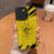 Borrusia Dortmund